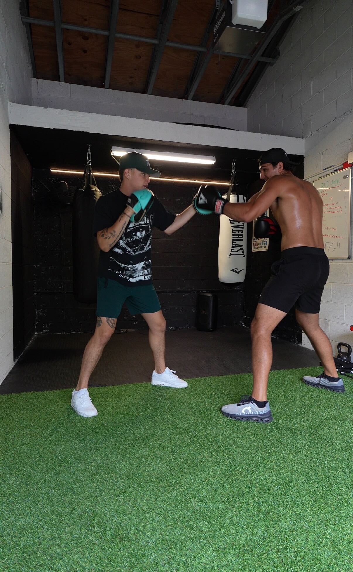 Boxer in guard stance